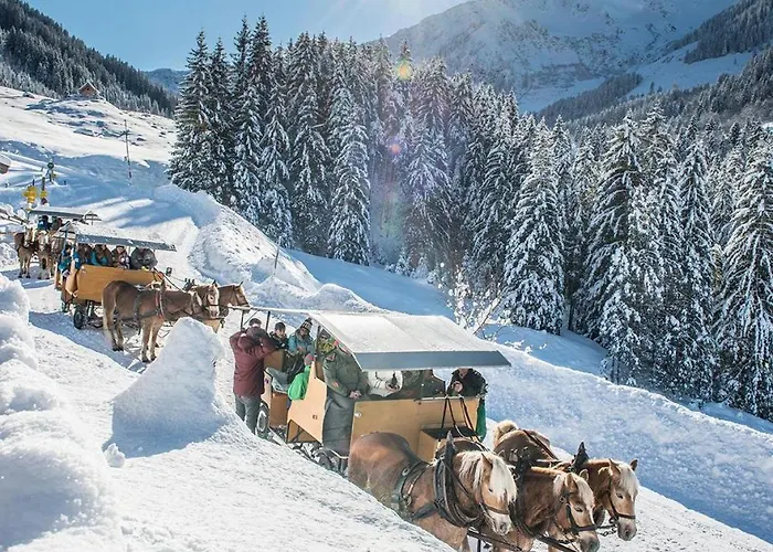 Auffacherhof Wildschoenau