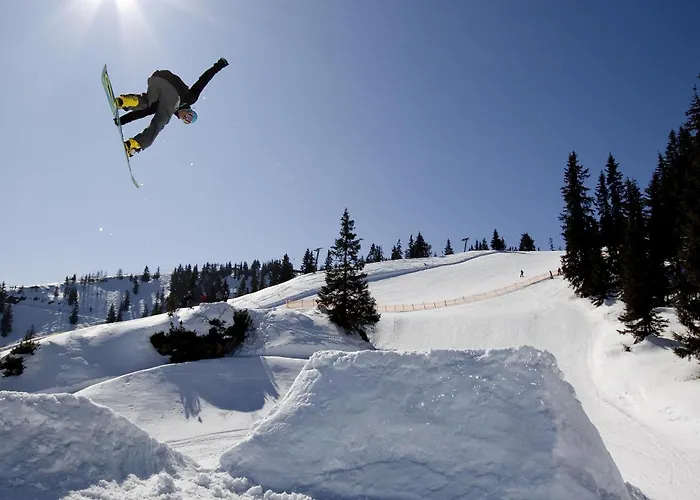 Hotel Auffacherhof Wildschoenau