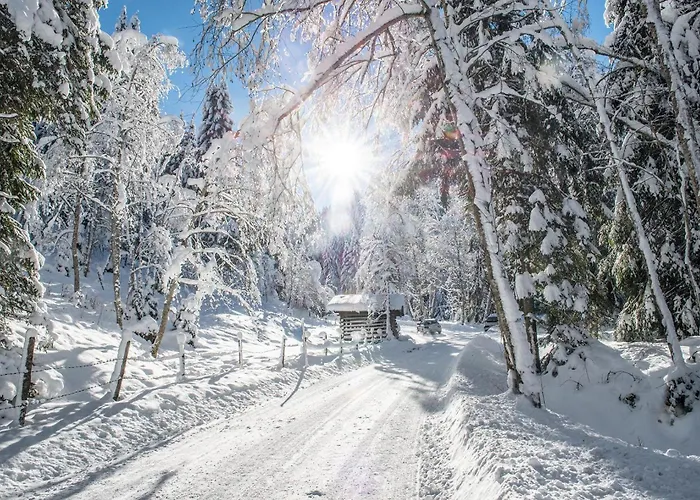 Hotel Auffacherhof Wildschoenau