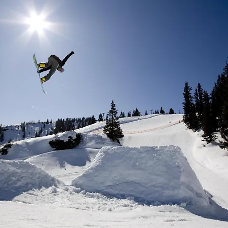 Ξενοδοχείο Auffacherhof Wildschonau