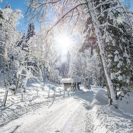 Ξενοδοχείο Auffacherhof Wildschonau